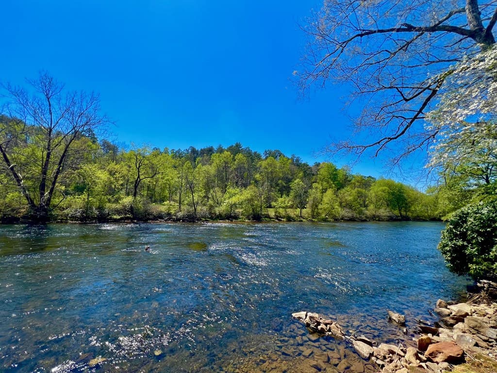 00 Toccoa River Forest, Mineral Bluff GA 30559 - Photo