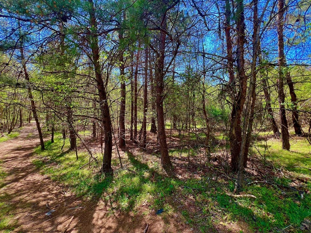 00 Toccoa River Forest, Mineral Bluff GA 30559 - Photo