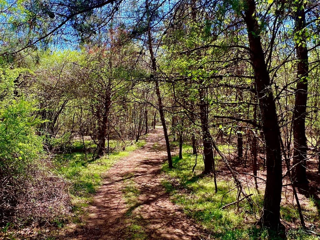 00 Toccoa River Forest, Mineral Bluff GA 30559 - Photo