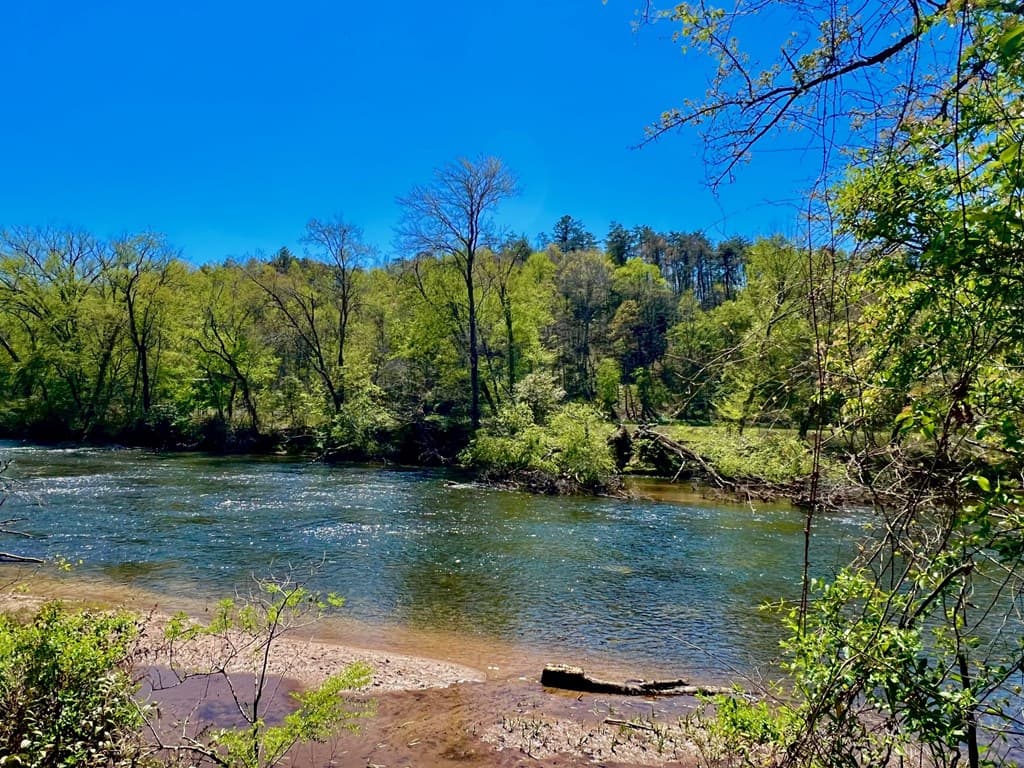 00 Toccoa River Forest, Mineral Bluff GA 30559 - Photo
