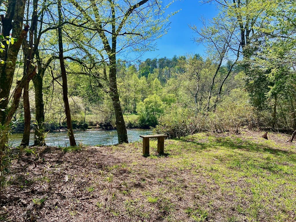 00 Toccoa River Forest, Mineral Bluff GA 30559 - Photo