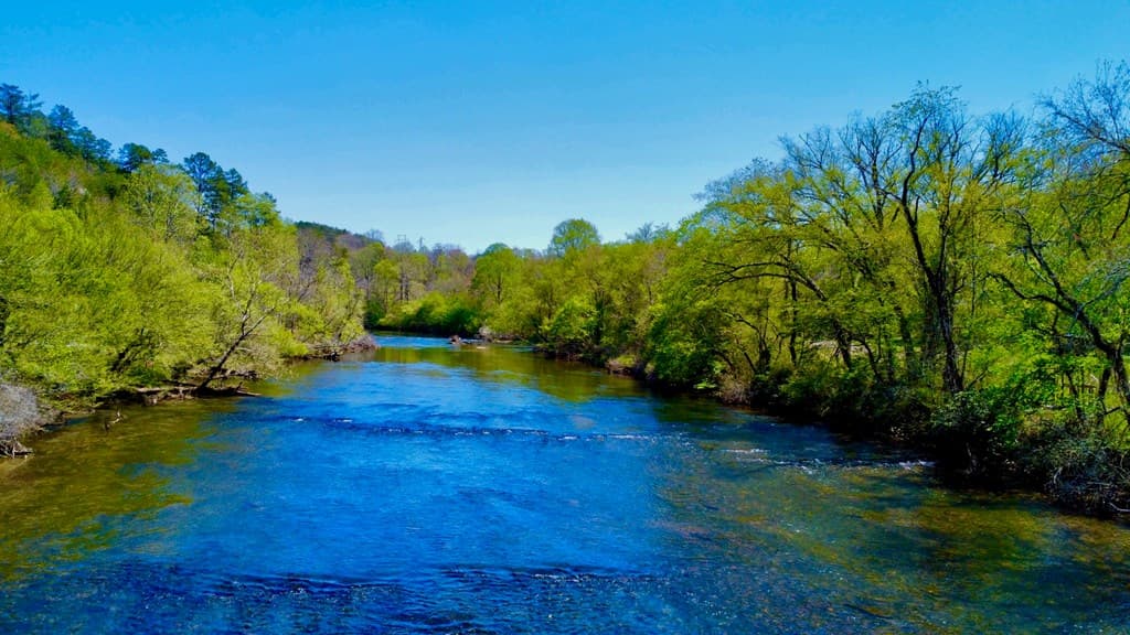 00 Toccoa River Forest, Mineral Bluff GA 30559 - Photo