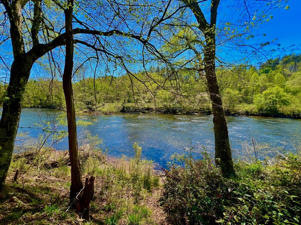 00 Toccoa River Forest, Mineral Bluff GA 30559 - Photo