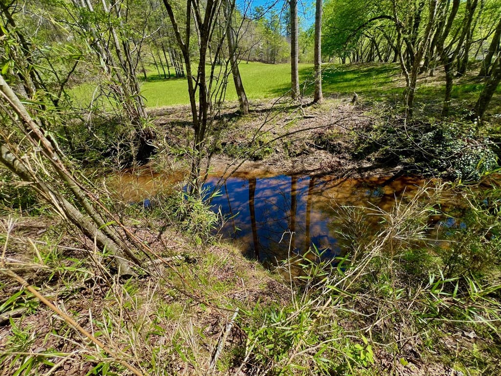 00 Toccoa River Forest, Mineral Bluff GA 30559 - Photo