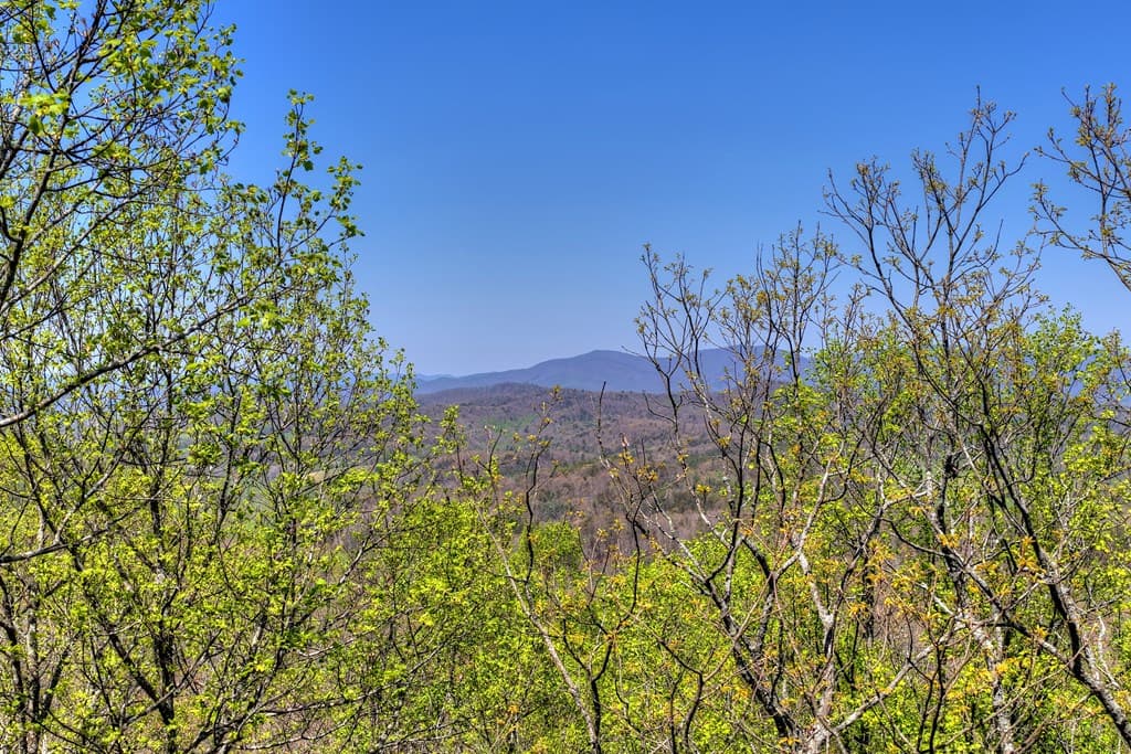 1073 Old Burnt Mountain Road, Ellijay GA 30536 - Photo