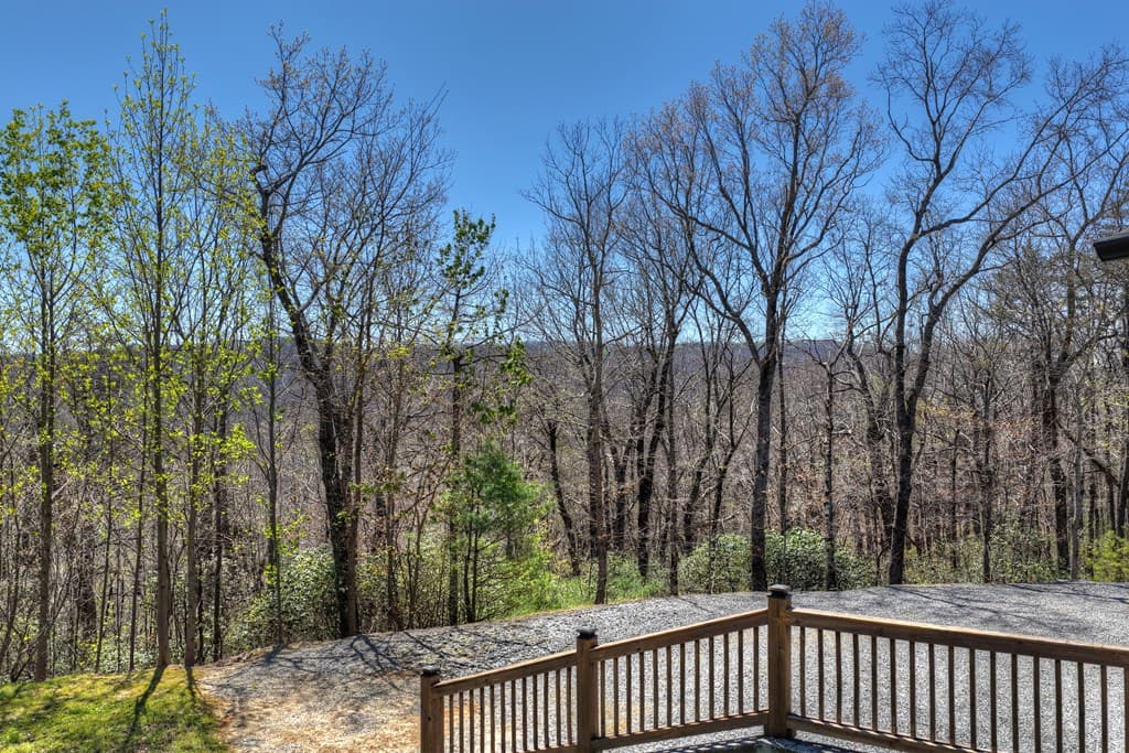 1073 Old Burnt Mountain Road, Ellijay GA 30536 - Photo