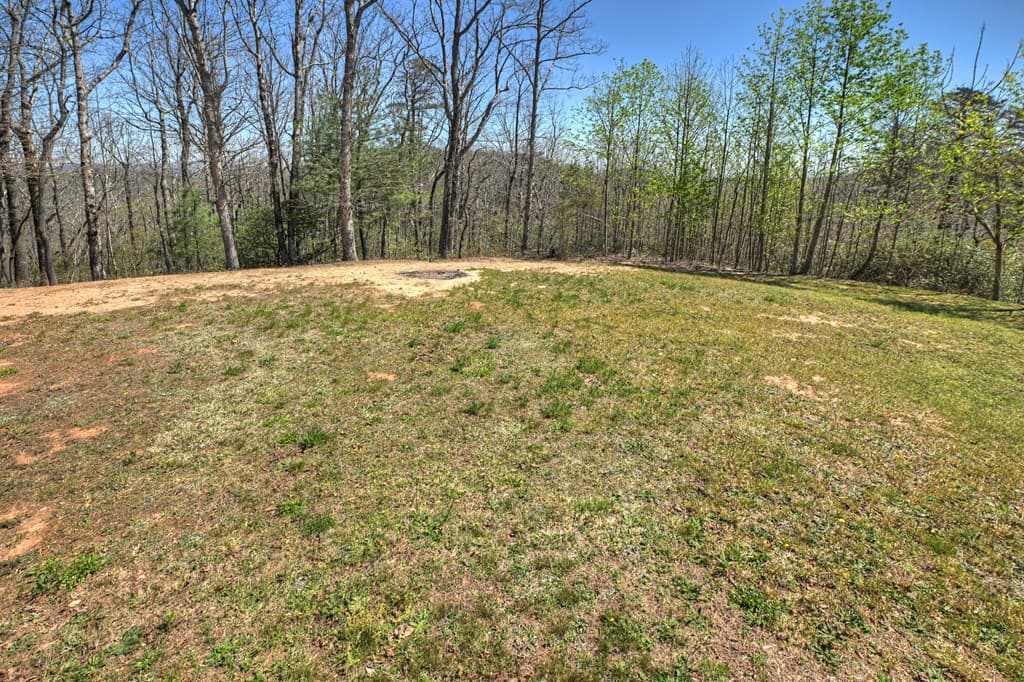 1073 Old Burnt Mountain Road, Ellijay GA 30536 - Photo