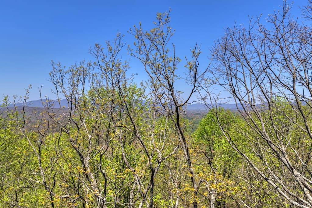 1073 Old Burnt Mountain Road, Ellijay GA 30536 - Photo