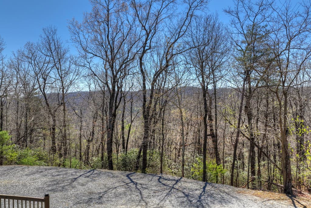 1073 Old Burnt Mountain Road, Ellijay GA 30536 - Photo
