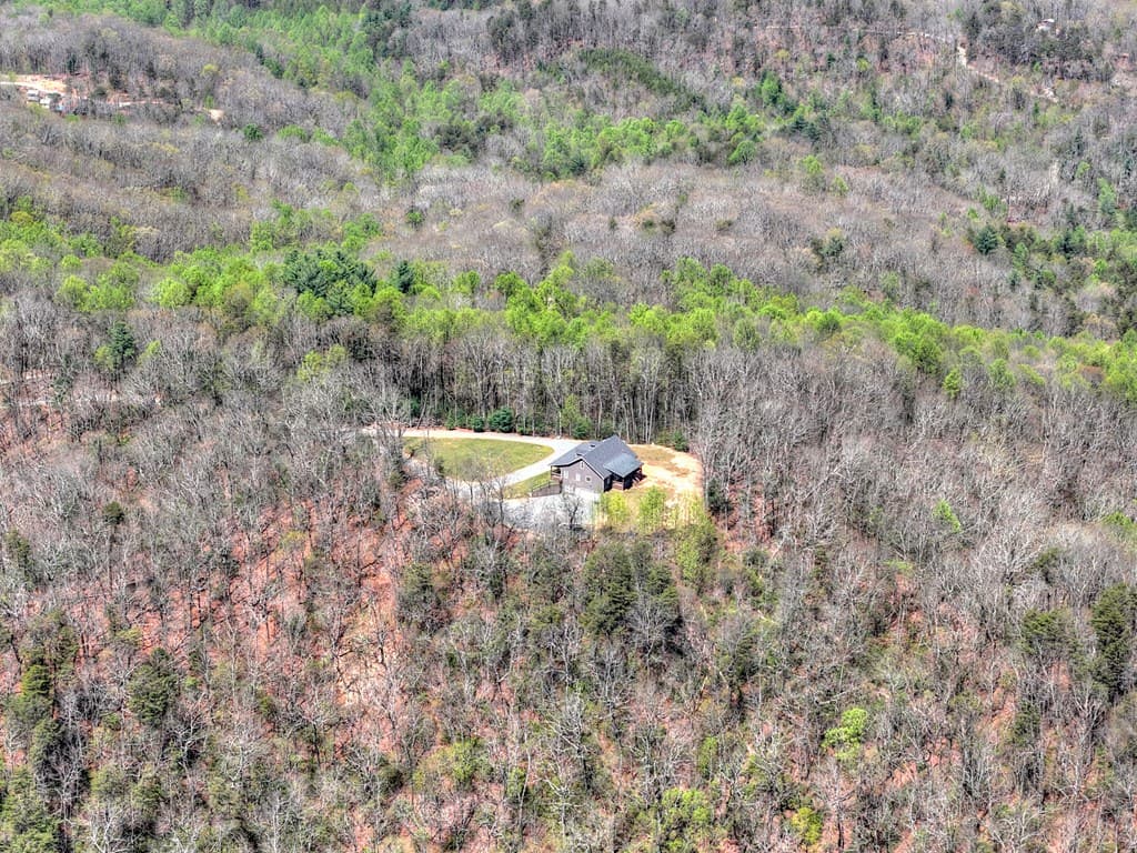 1073 Old Burnt Mountain Road, Ellijay GA 30536 - Photo