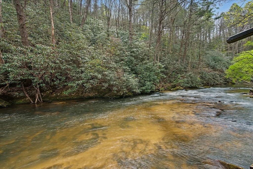 68 Hawk Lane, Ellijay GA 30540 - Photo