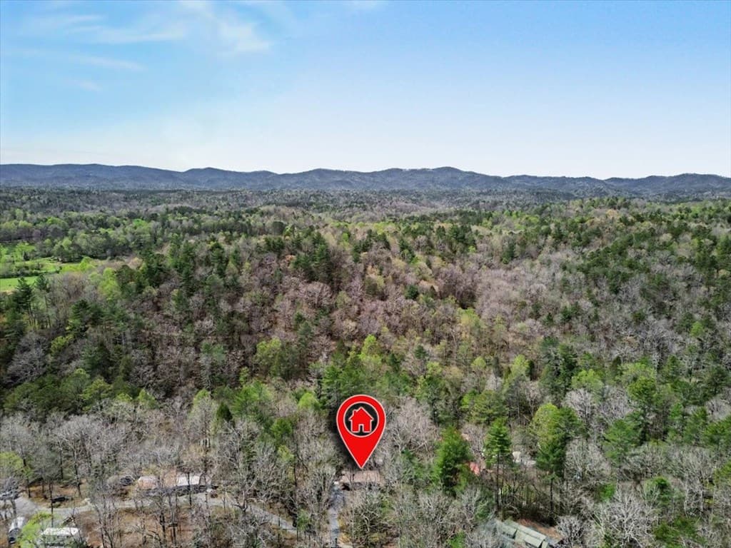 68 Hawk Lane, Ellijay GA 30540 - Photo