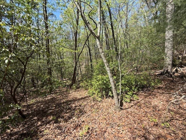 Lot 9 Marjorie Avenue, Ellijay GA 30536 - Photo