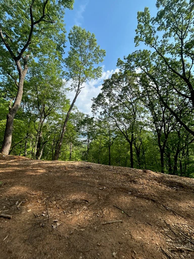 324 Adair Drive, Ranger GA 30734 - Photo