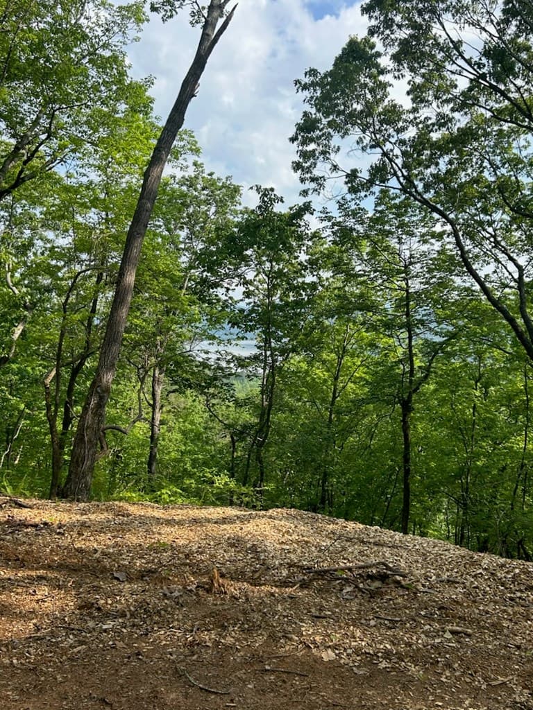 324 Adair Drive, Ranger GA 30734 - Photo