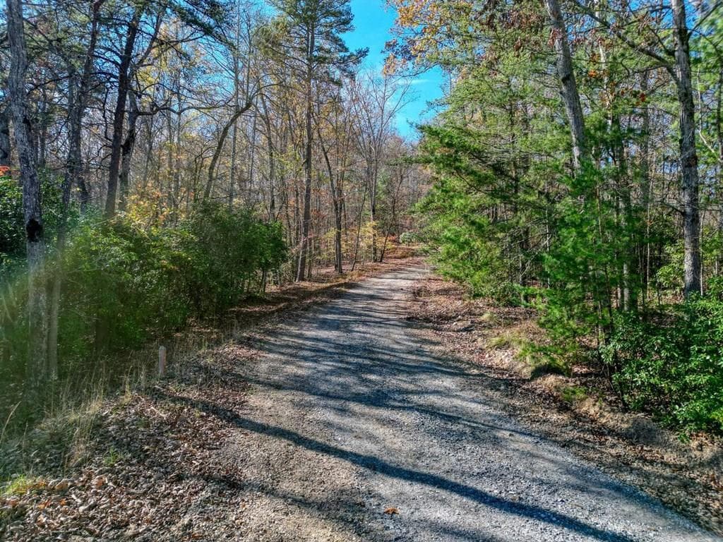 57.59 Winchester Creek, Young Harris GA 30582 - Photo