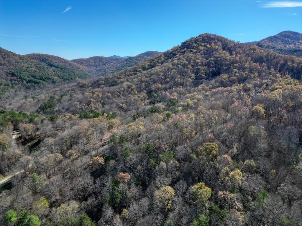 57.59 Winchester Creek, Young Harris GA 30582 - Photo