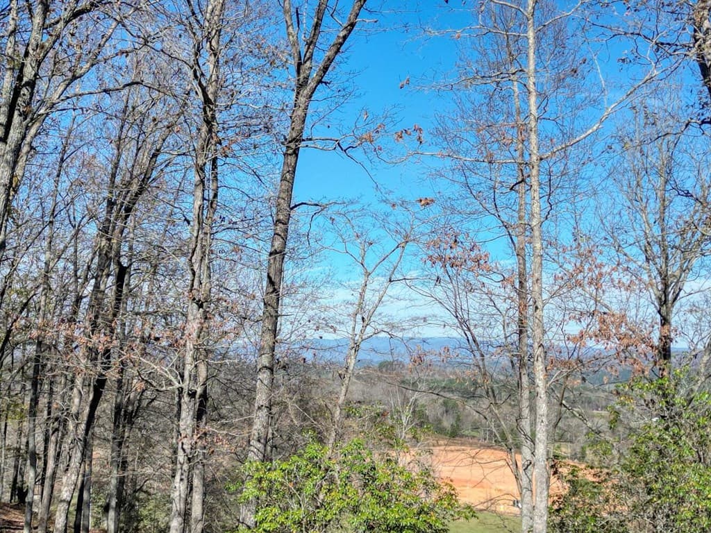 57.59 Winchester Creek, Young Harris GA 30582 - Photo