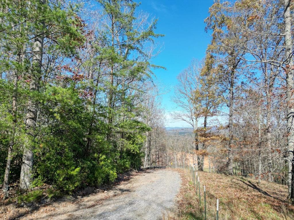 57.59 Winchester Creek, Young Harris GA 30582 - Photo
