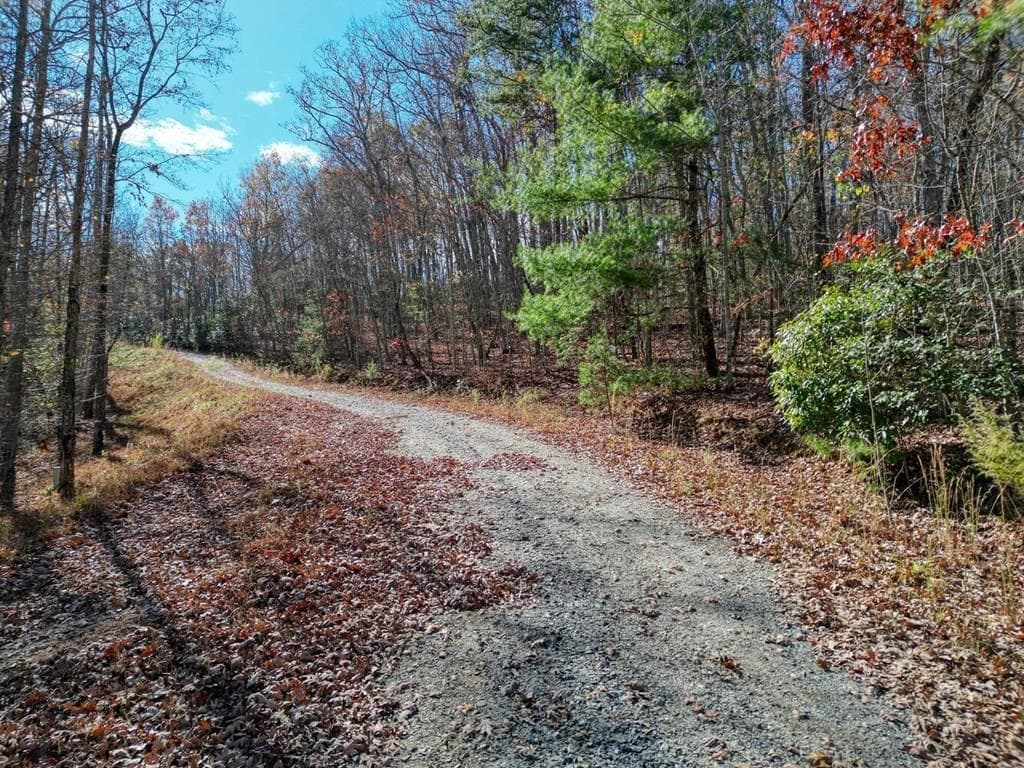 57.59 Winchester Creek, Young Harris GA 30582 - Photo