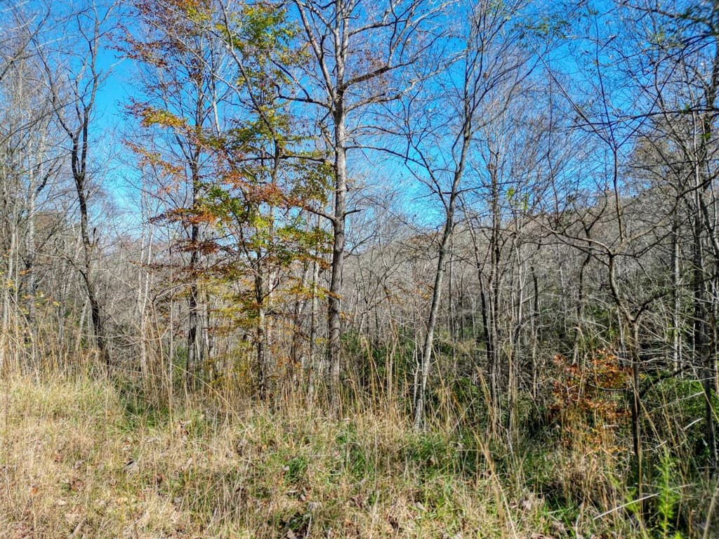 57.59 Winchester Creek, Young Harris GA 30582 - Photo