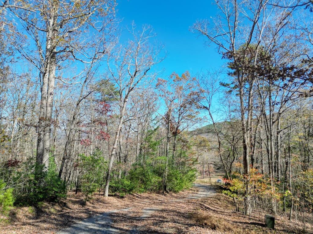 57.59 Winchester Creek, Young Harris GA 30582 - Photo