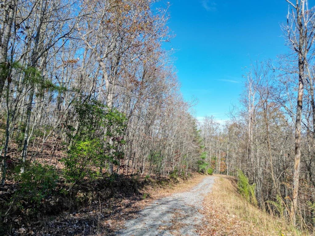 57.59 Winchester Creek, Young Harris GA 30582 - Photo