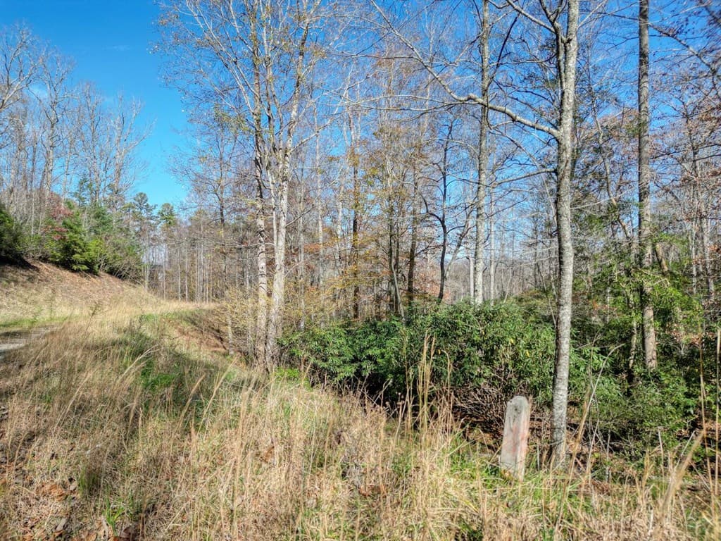 57.59 Winchester Creek, Young Harris GA 30582 - Photo