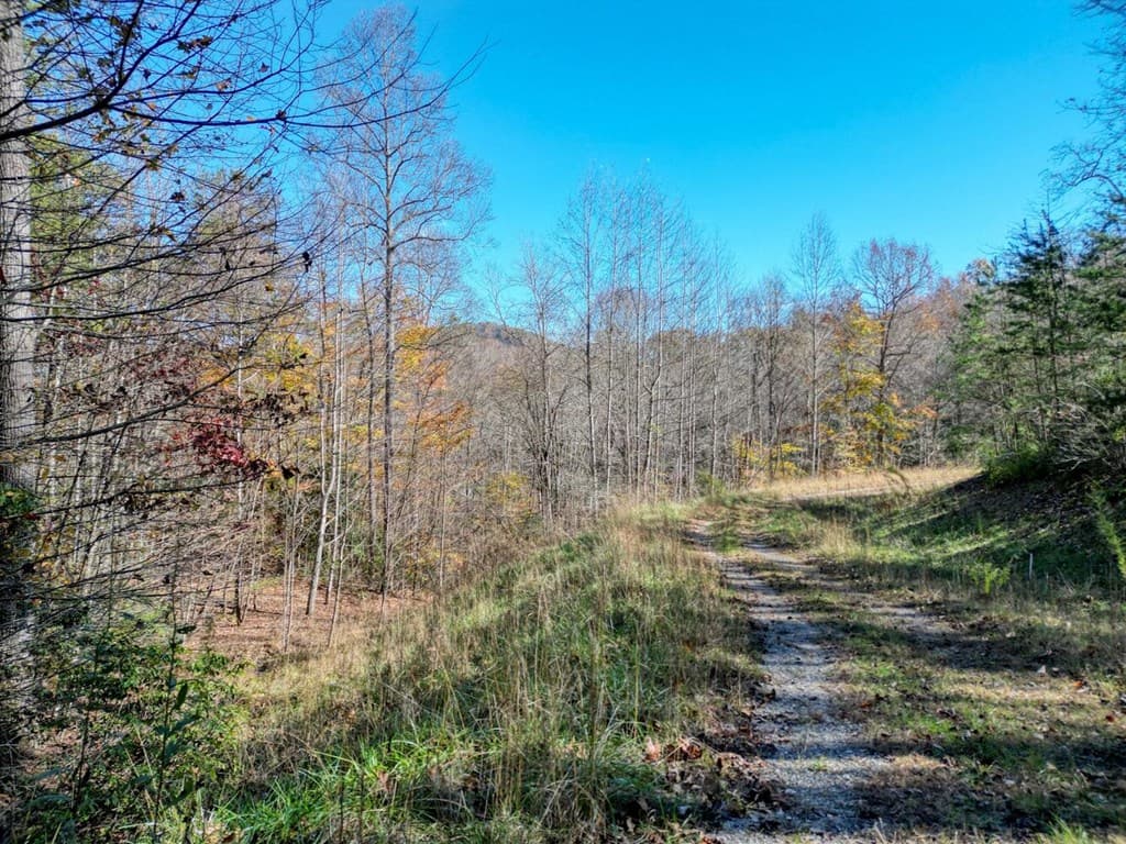 57.59 Winchester Creek, Young Harris GA 30582 - Photo