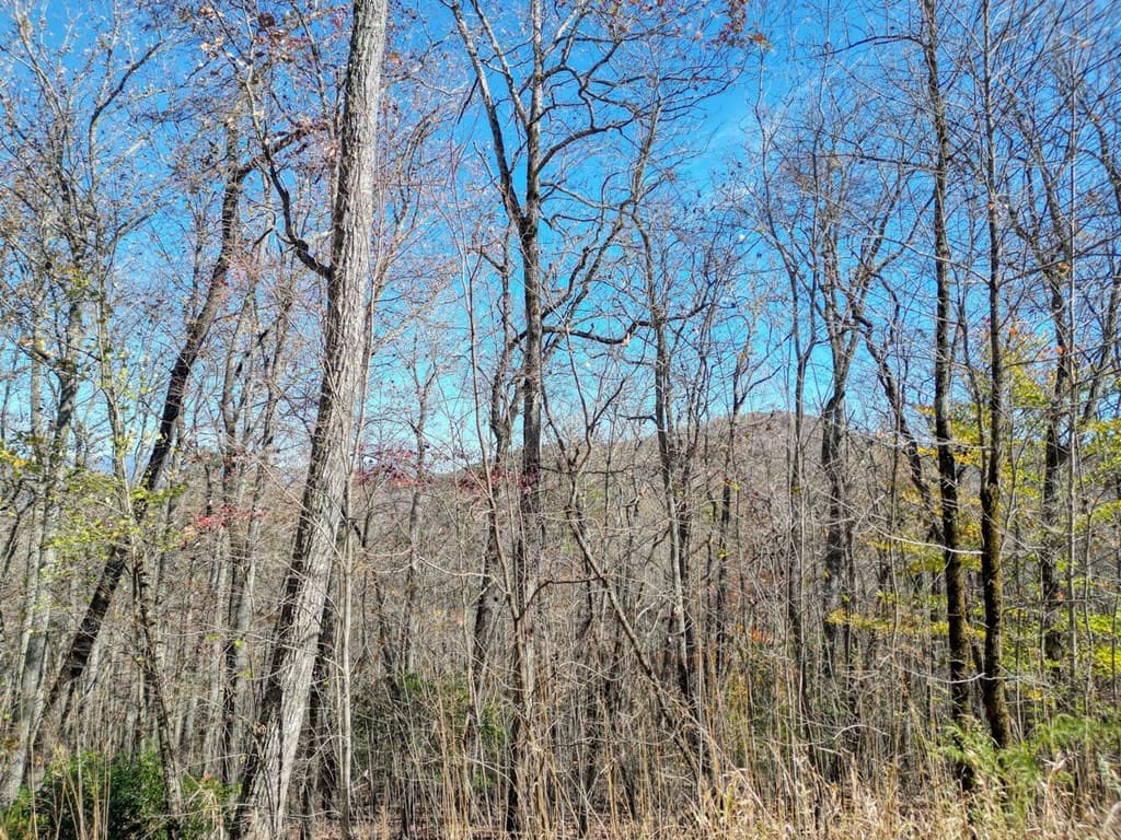57.59 Winchester Creek, Young Harris GA 30582 - Photo