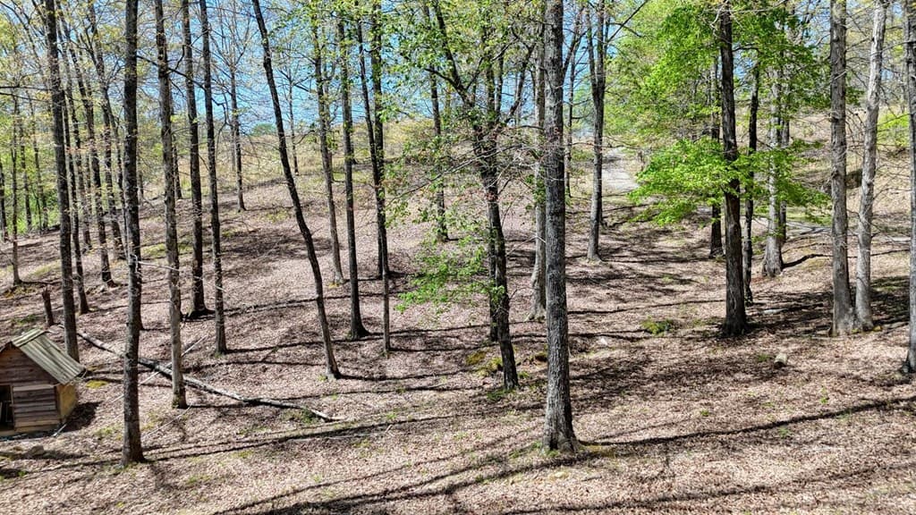 641 Windy Ridge Road, Blue Ridge GA 30513 - Photo