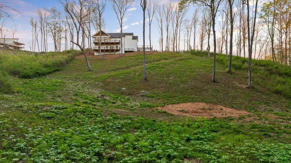 222 Mystic Drive, Ellijay GA 30540 - Photo