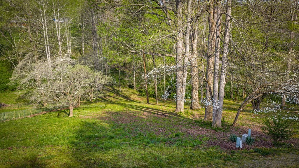 108 Forge Mill Estates Drive, Morganton GA 30560 - Photo