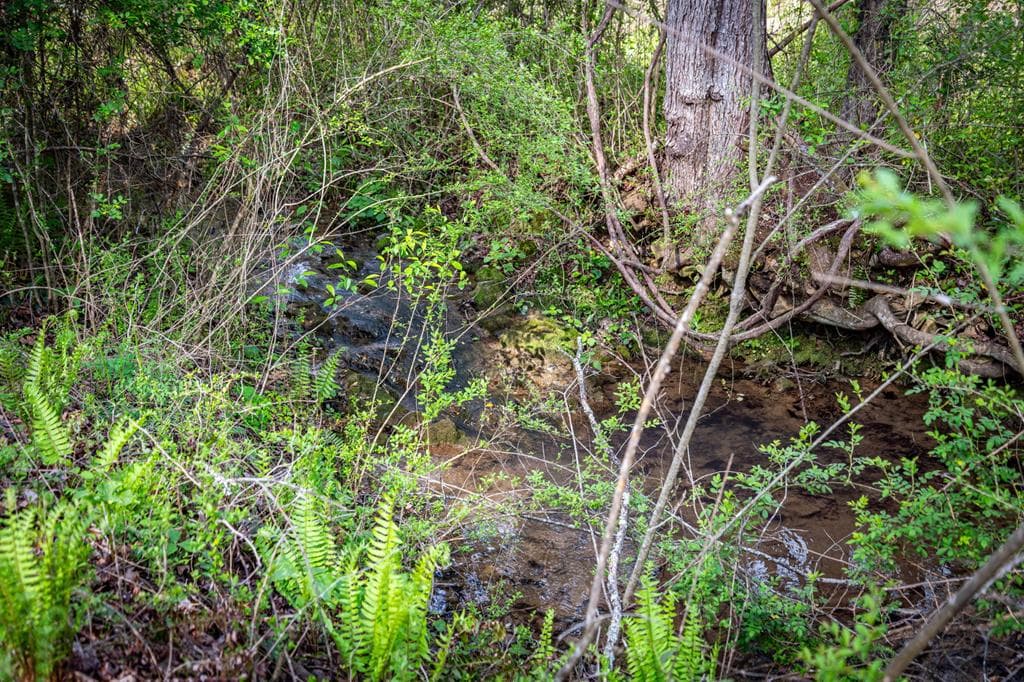 108 Forge Mill Estates Drive, Morganton GA 30560 - Photo
