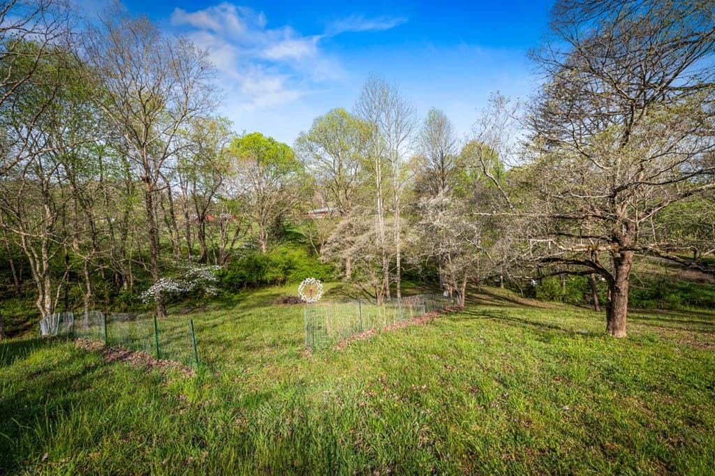 108 Forge Mill Estates Drive, Morganton GA 30560 - Photo