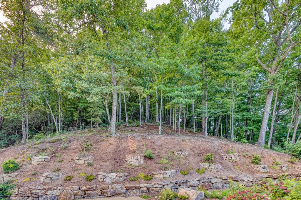 280 Pointe Of View, Blue Ridge GA 30513 - Photo