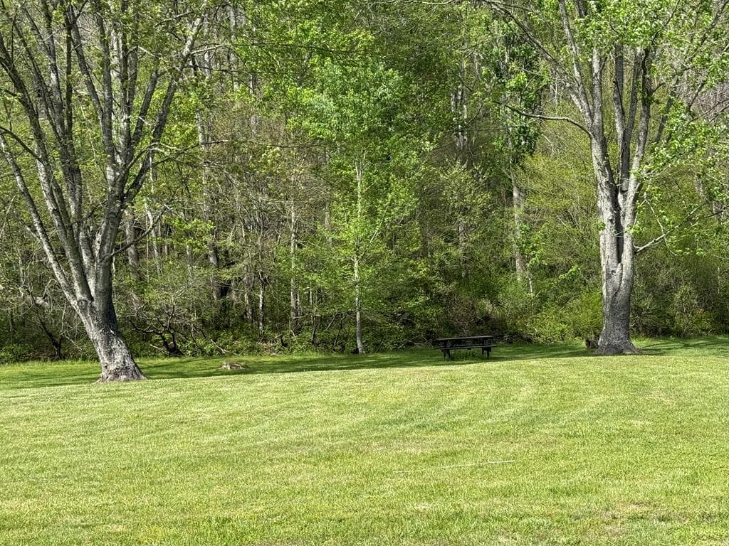 8528 Soapstone Creek Trail, Hiawassee GA 30546 - Photo