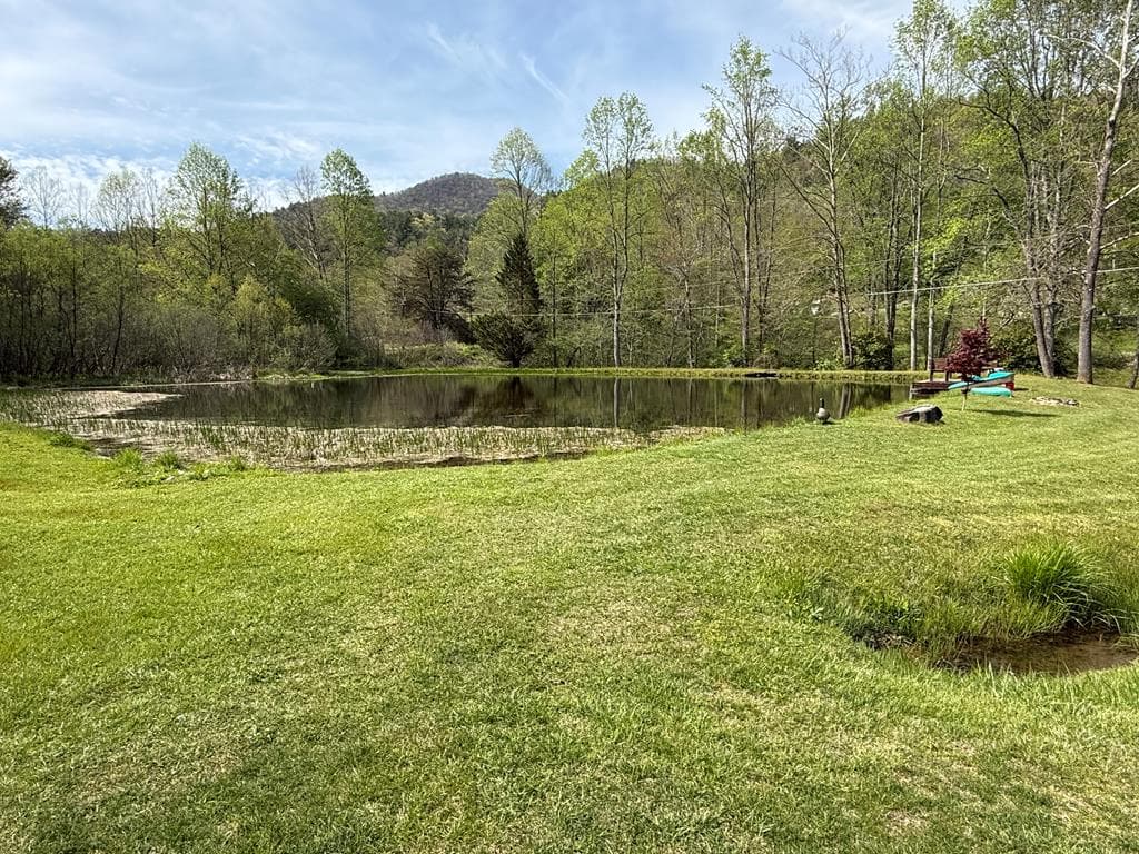 8528 Soapstone Creek Trail, Hiawassee GA 30546 - Photo