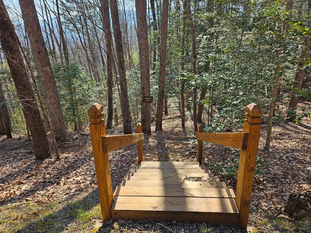 8528 Soapstone Creek Trail, Hiawassee GA 30546 - Photo