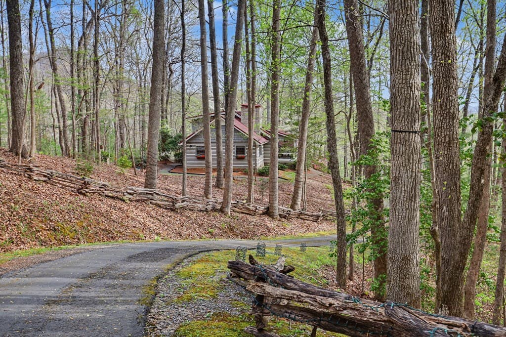 8528 Soapstone Creek Trail, Hiawassee GA 30546 - Photo