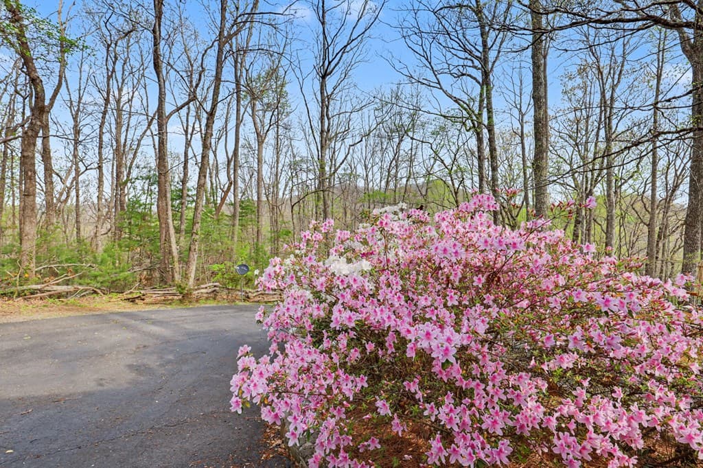 8528 Soapstone Creek Trail, Hiawassee GA 30546 - Photo