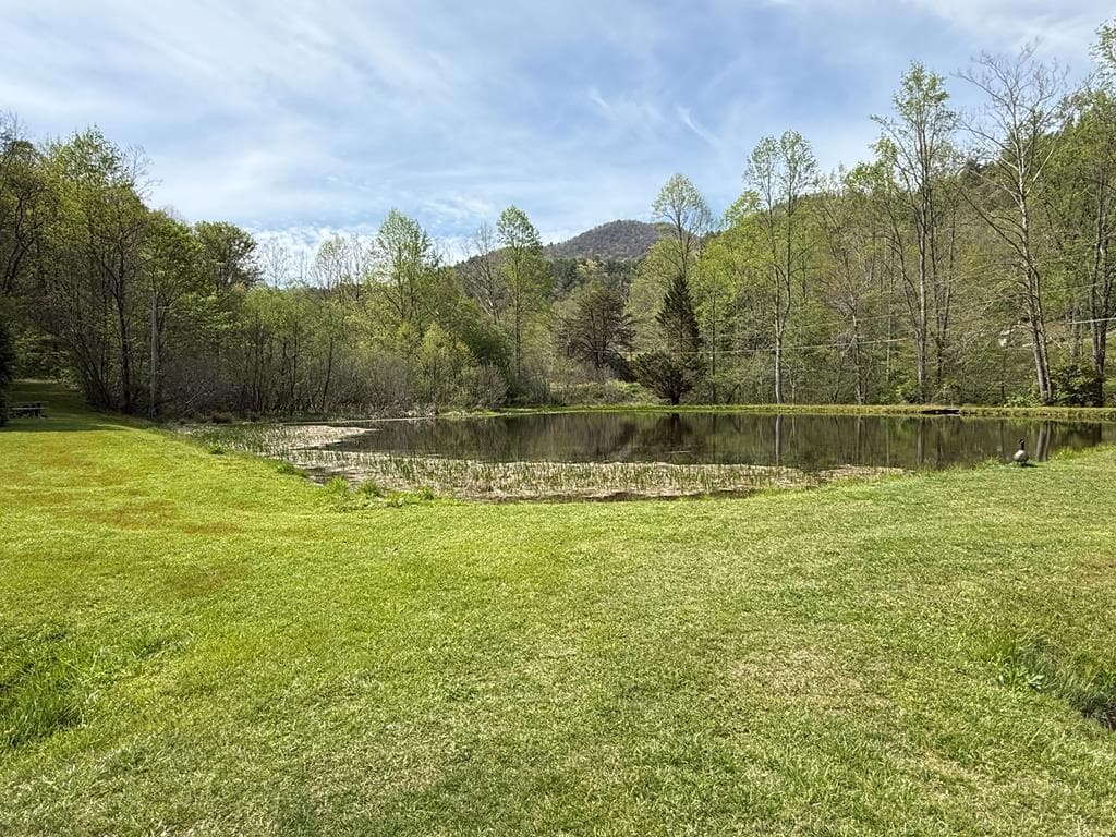 8528 Soapstone Creek Trail, Hiawassee GA 30546 - Photo