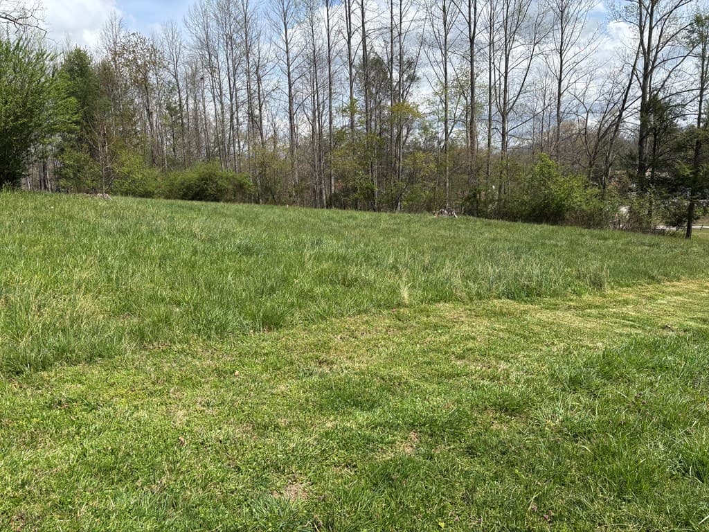 0 Palmer Road, Hayesville NC 28904 - Photo