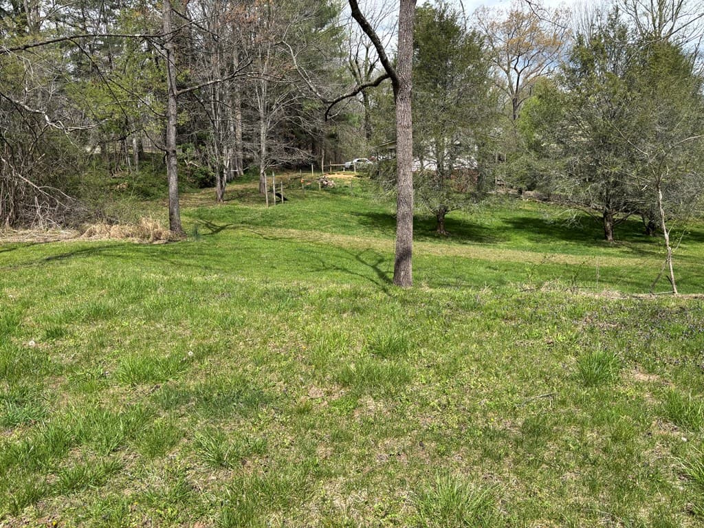 0 Palmer Road, Hayesville NC 28904 - Photo