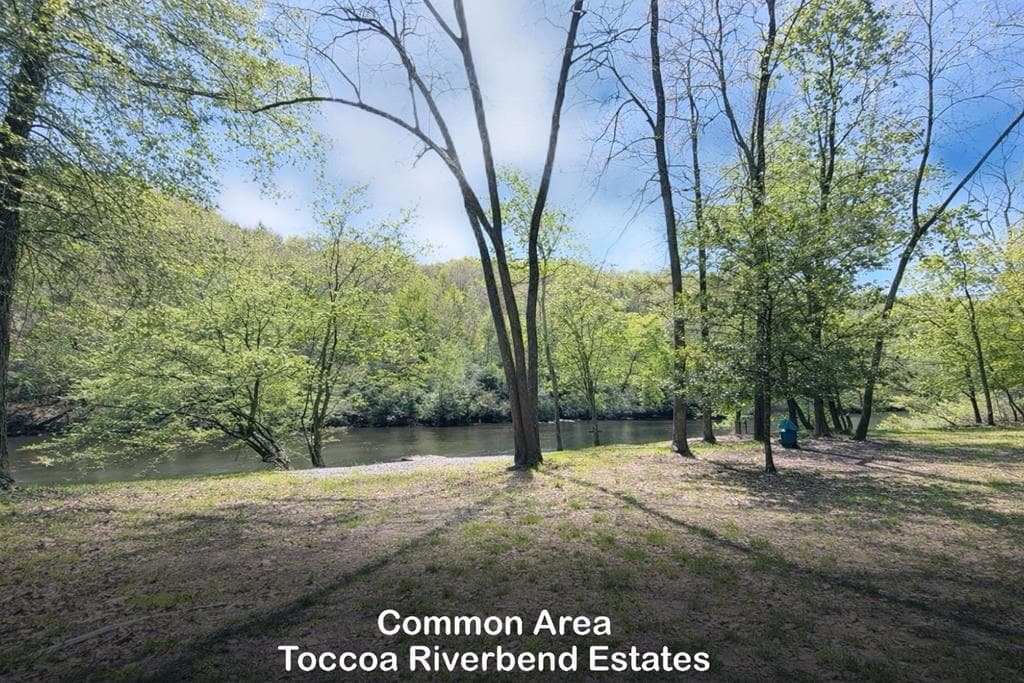 Lot 5 Riverbend Manor, Blue Ridge GA 30513 - Photo