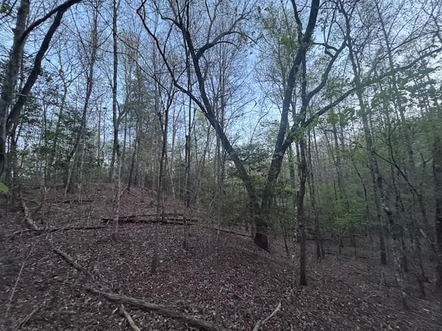 Lot 5 Riverbend Manor, Blue Ridge GA 30513 - Photo