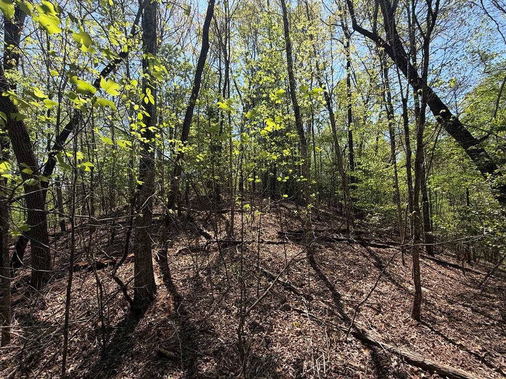Lot 5 Riverbend Manor, Blue Ridge GA 30513 - Photo