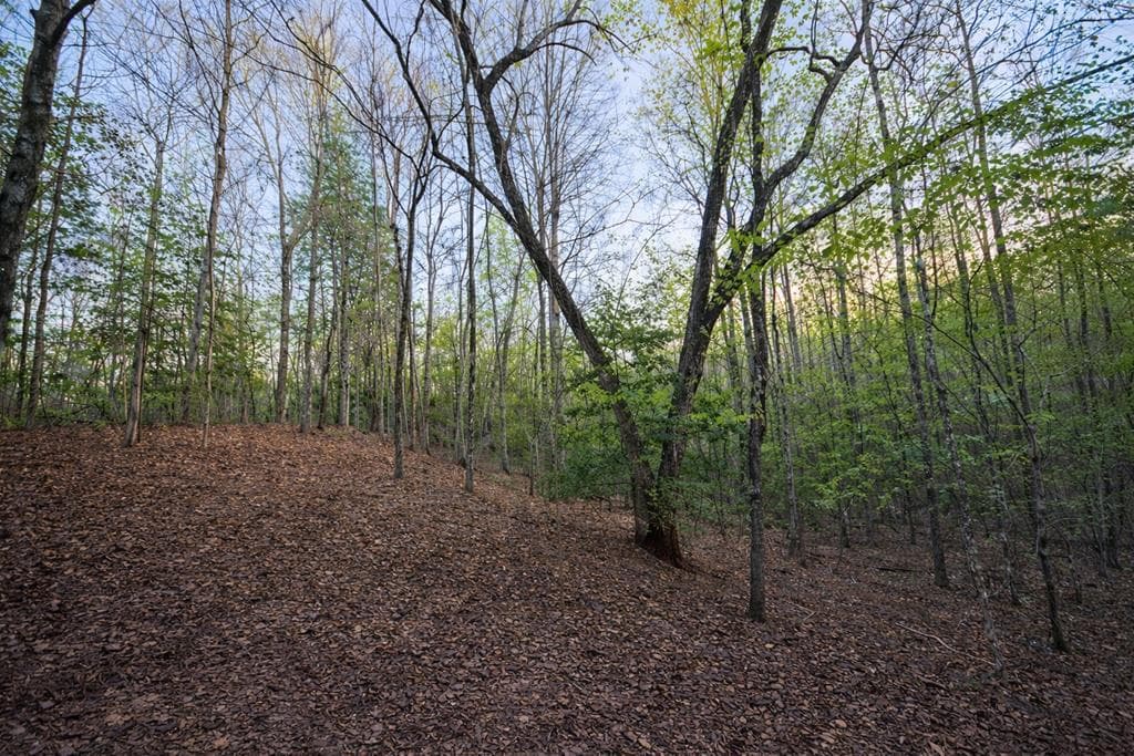 Lot 5 Riverbend Manor, Blue Ridge GA 30513 - Photo