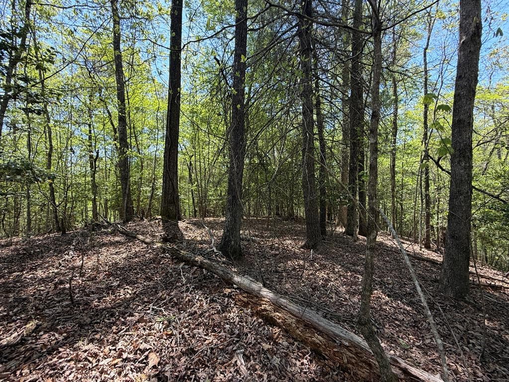 Lot 5 Riverbend Manor, Blue Ridge GA 30513 - Photo