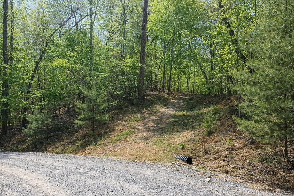 Lot 5 Riverbend Manor, Blue Ridge GA 30513 - Photo